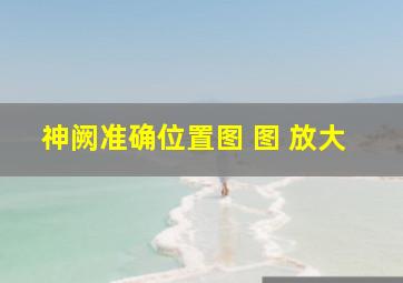 神阙准确位置图 图 放大